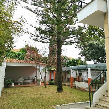 Botanique Guesthouse Cascais Exterior photo